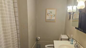 Hair dryer, towels, soap, toilet paper