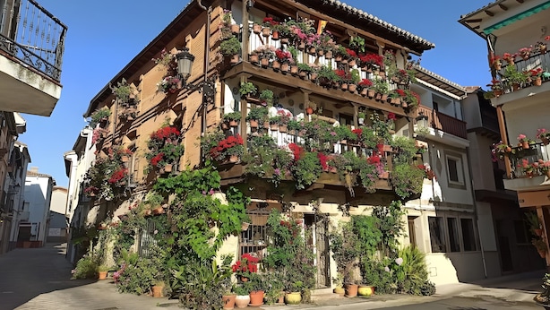 Un immeuble à plusieurs étages doté de balcons ornés de plantes et de fleurs en pot.