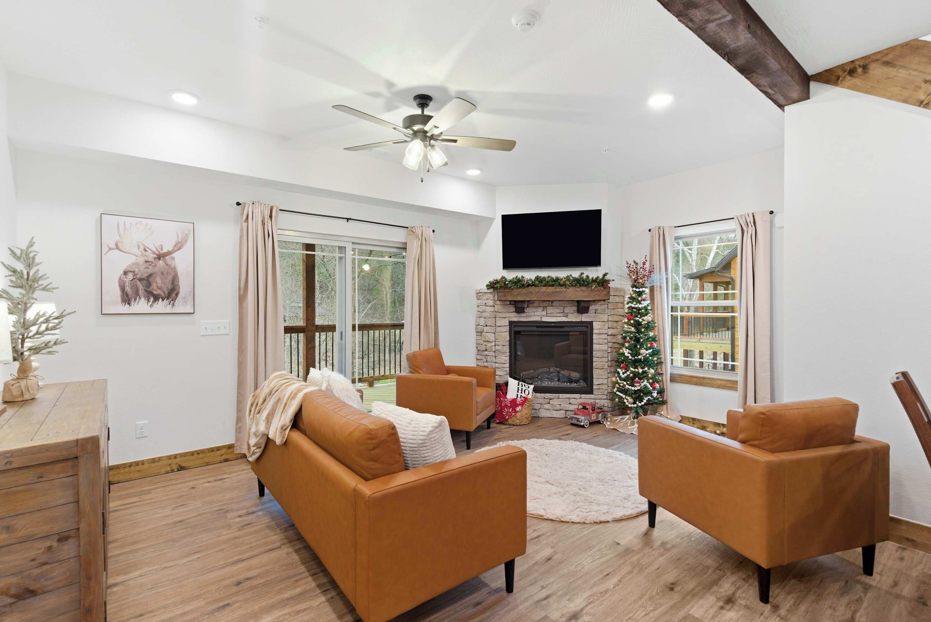 Télévision, cheminée, jeux vidéo, lecteur de DVD