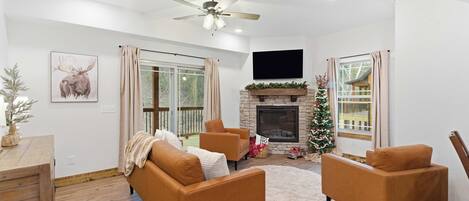 Télévision, cheminée, jeux vidéo, lecteur de DVD