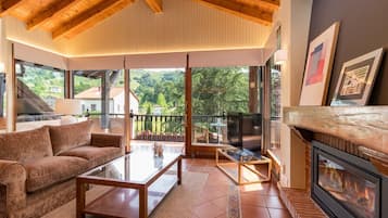 Télévision, cheminée