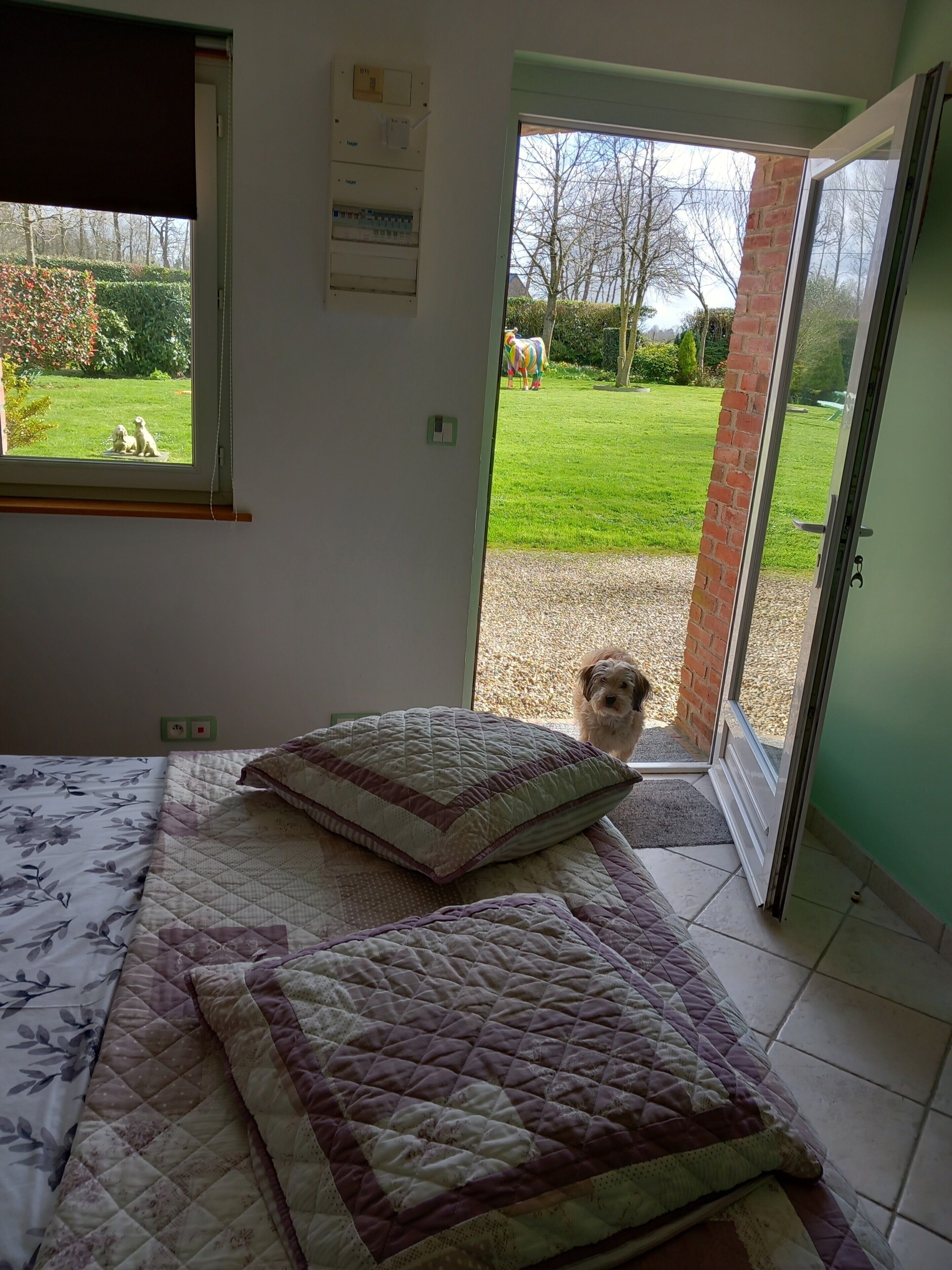 WiFi, bed sheets, wheelchair access