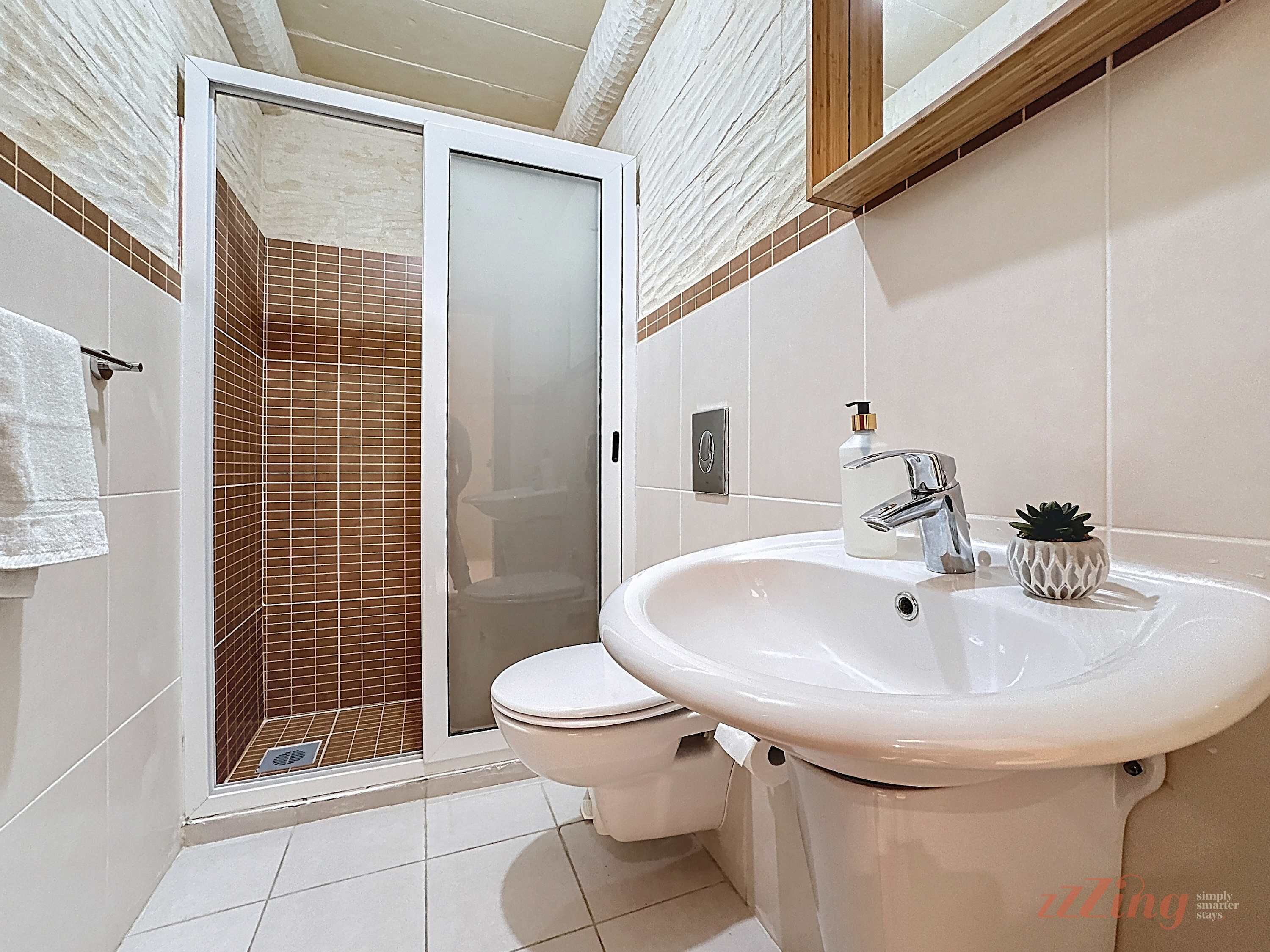 Une salle de bain avec douche, toilettes et lavabo.