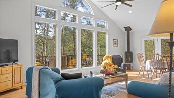 Smart TV, fireplace, DVD player, books