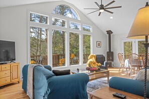Smart TV, fireplace, DVD player, books