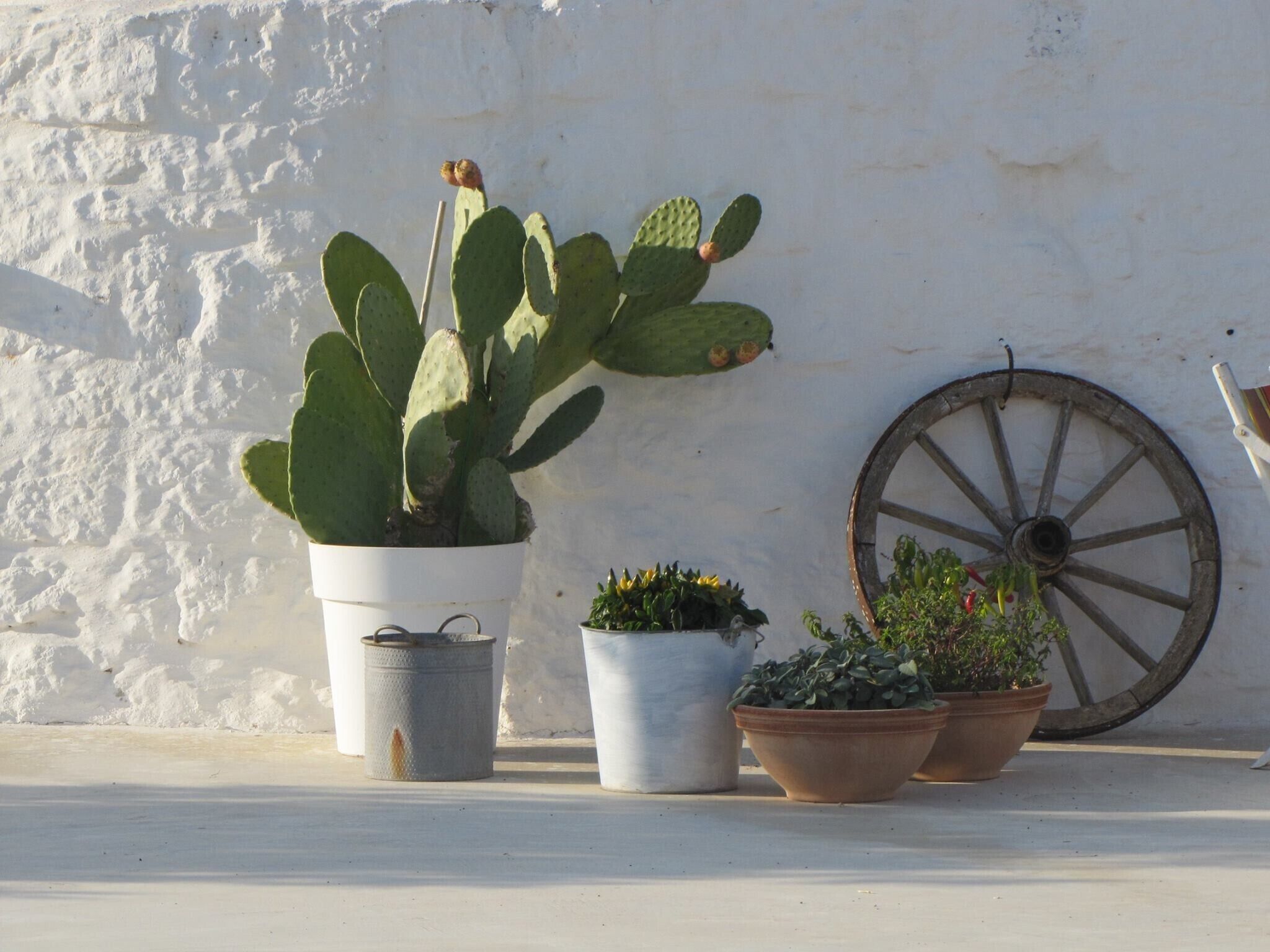 Parco della struttura