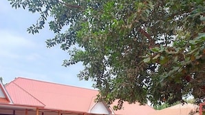 Un edificio con techo rojo y un espacio al aire libre cubierto con plantas en macetas y sillas.