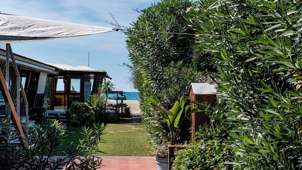 A garden with a pathway leading to a beach, surrounded by lush greenery and a wooden structure. - Lavender Suite Bath Cavallone Directly on the beach, with TENT INCLUDED (Lido di Camaiore)