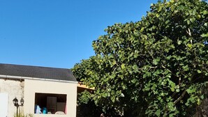 Área externa com assentos, cadeiras de lounge brancas e plantas em vasos, uma parede de pedra e um edifício com porta aberta.