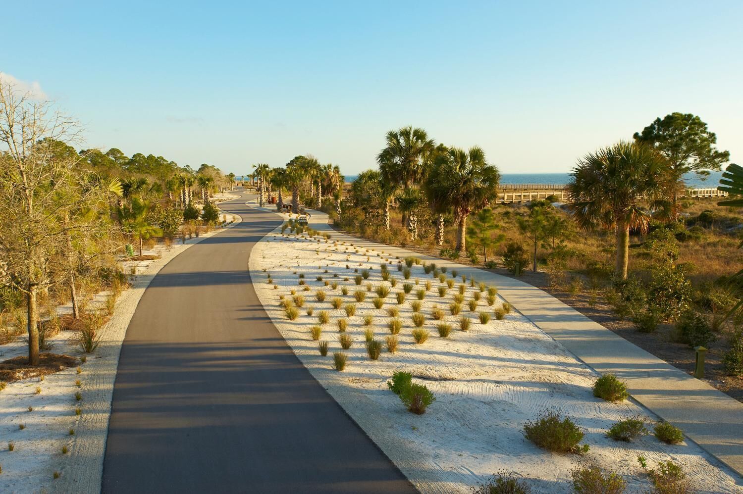 A paved pathway with a curved design, flanked by small bushes and palm trees, leading towards a distant body of water.