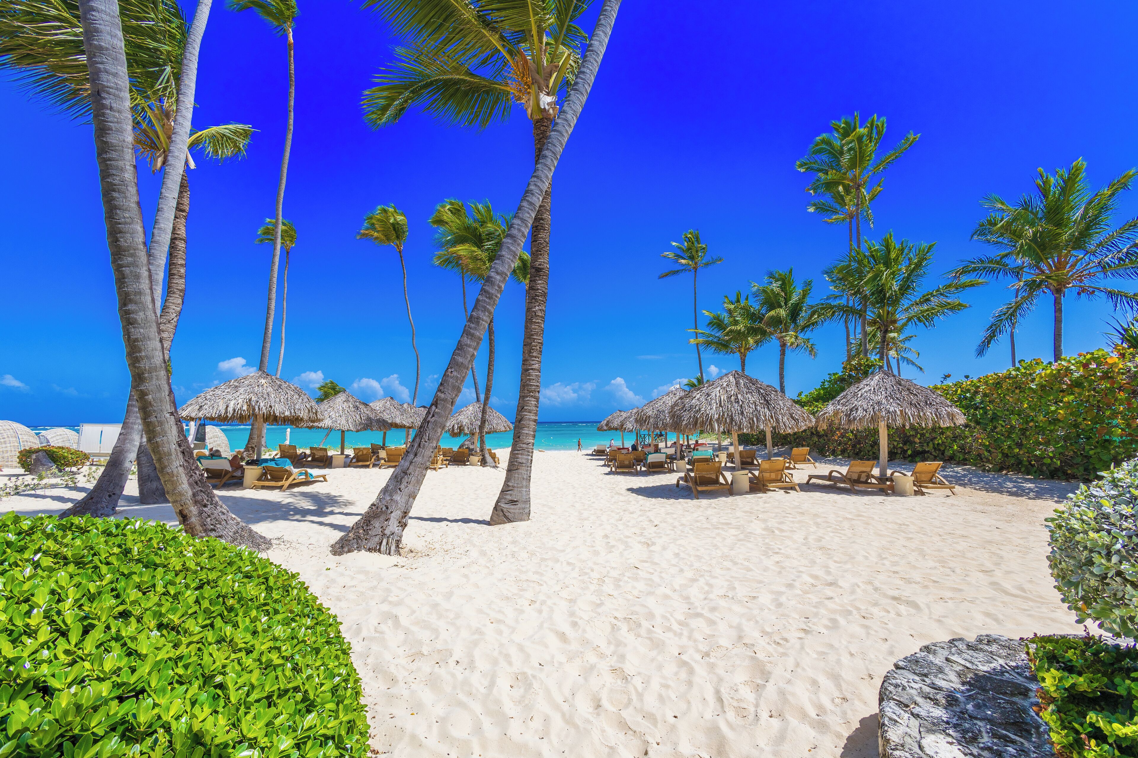 Une plage bordée de palmiers, dotée de parasols en chaume et de chaises longues.
