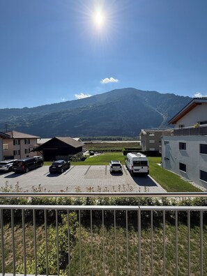 Property grounds - Cosy apartment Valais 70m2 (Chamoson)