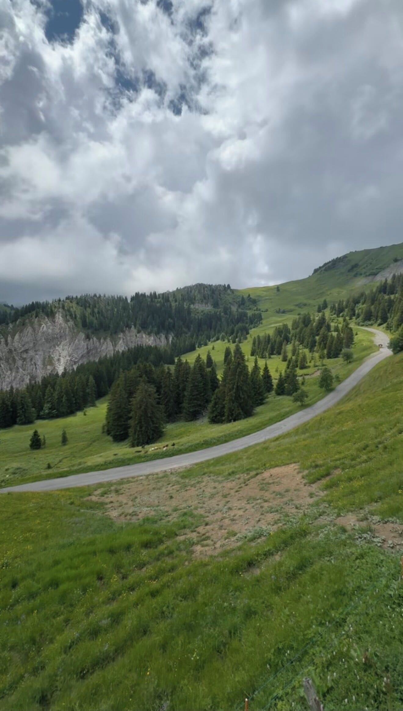 A winding road through a green landscape with trees and a forested hill in the background.