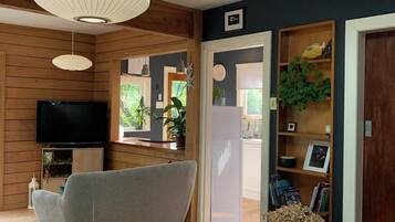 Smart TV, fireplace, books