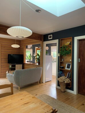 Smart TV, fireplace, books