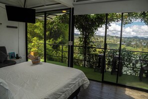 Deluxe Double Room, Balcony, Partial Lake View | View from room