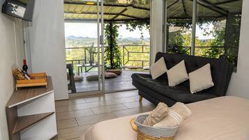 Deluxe Double Room, Balcony, Garden View | View from room