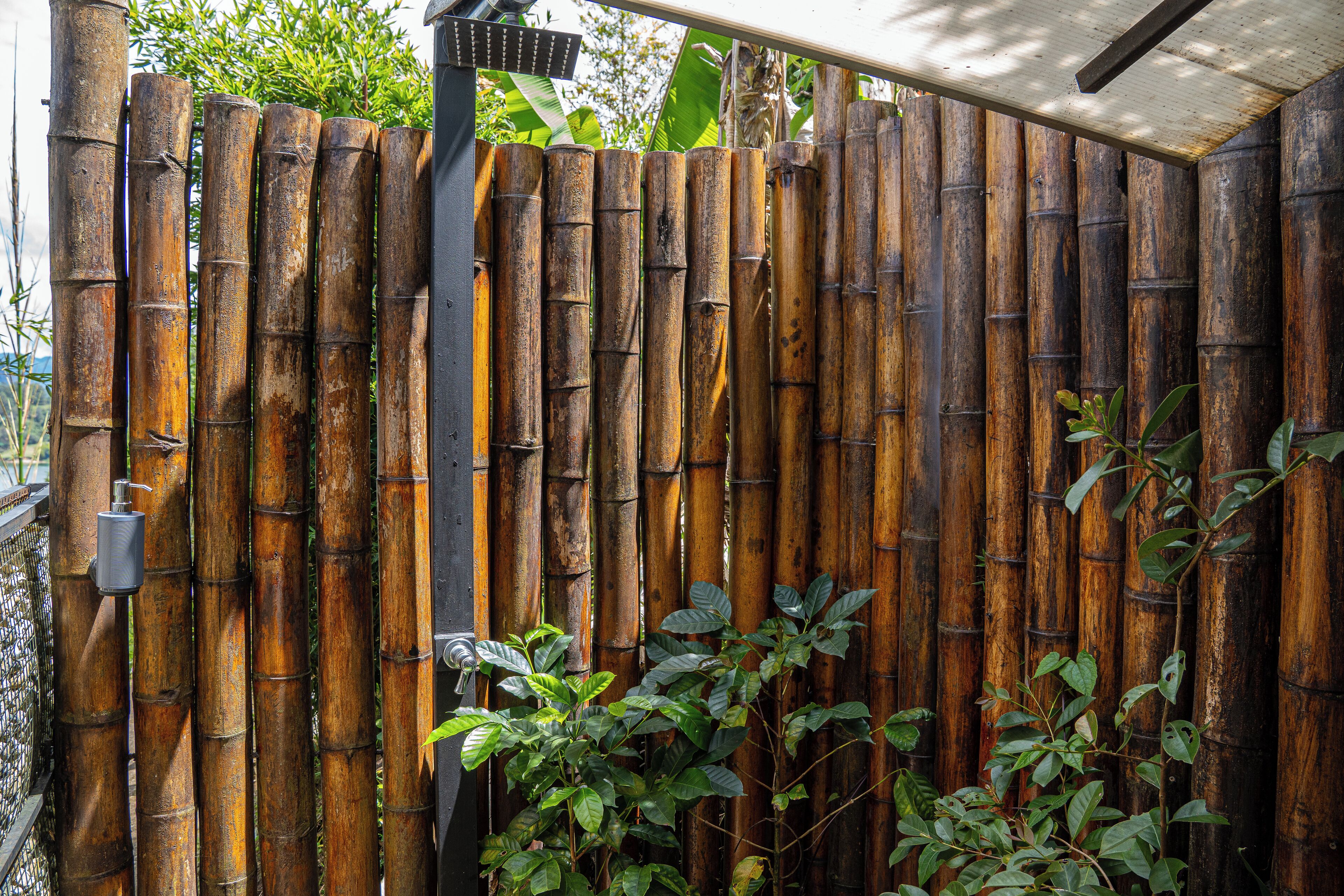 A bamboo fence with a metal gate and a small plant growing in front.