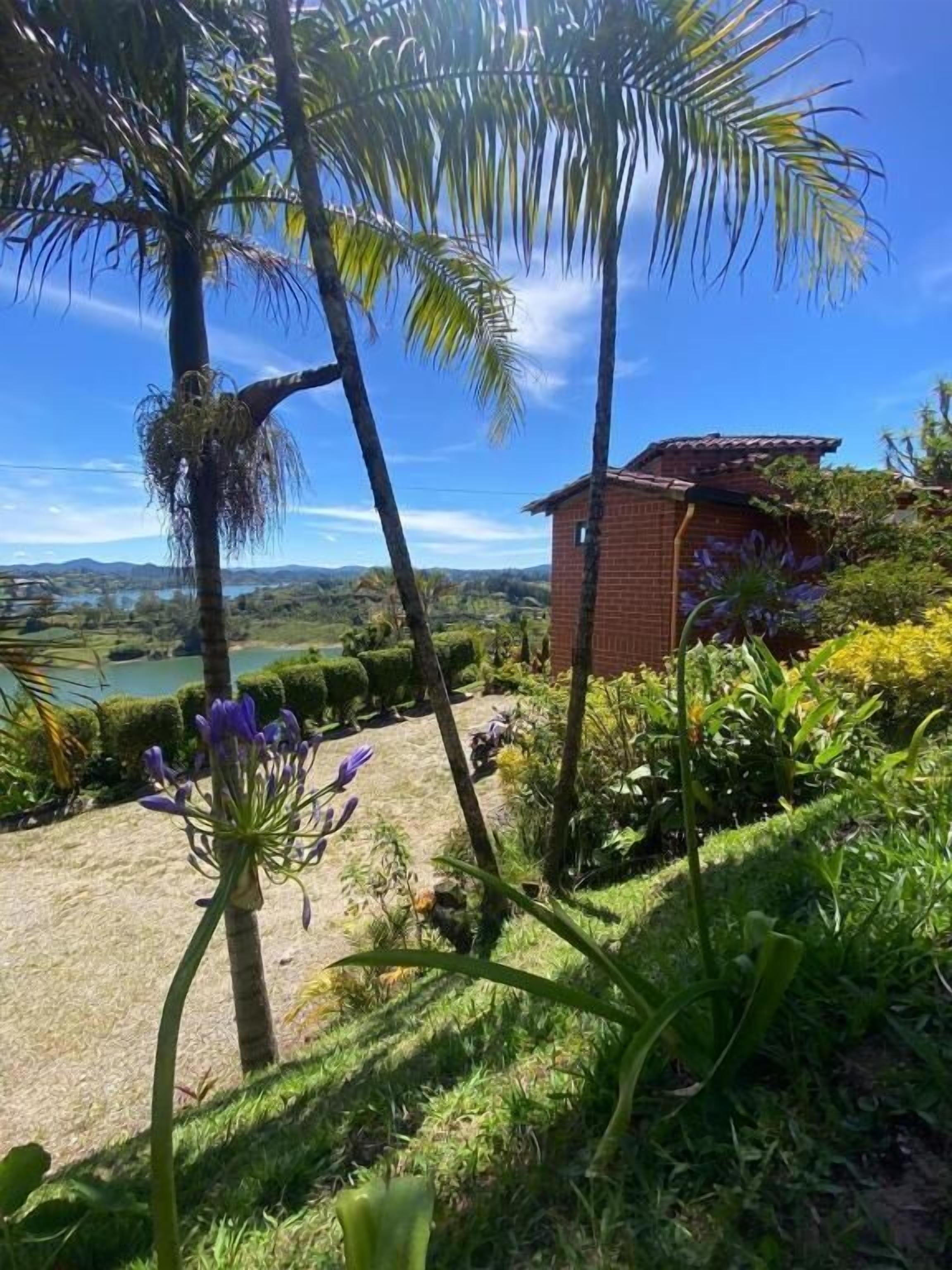 家庭獨棟房屋, 陽台, 花園景觀 | 住宿一隅