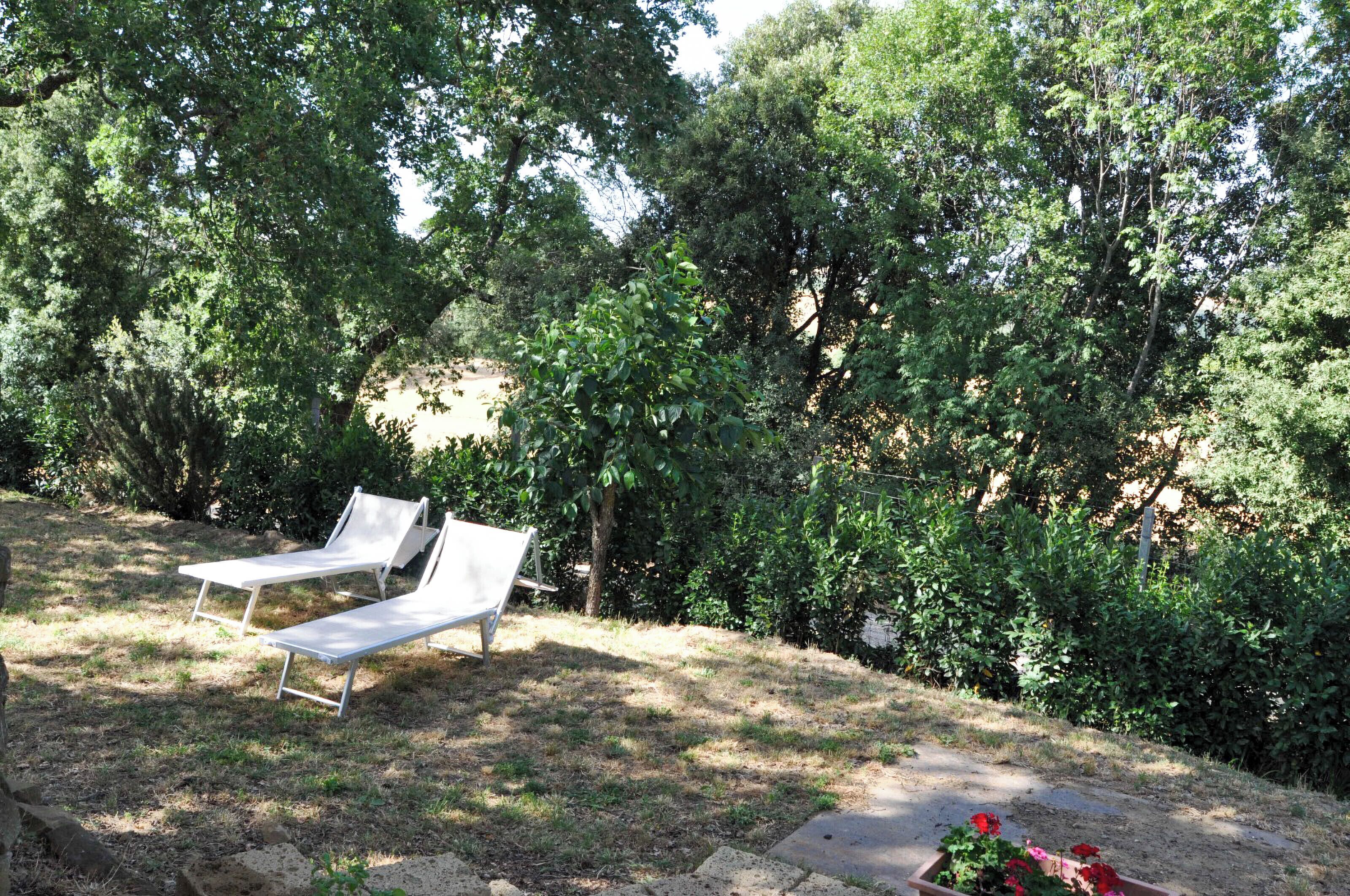 Two white lounge chairs in a shaded area with dense green foliage in the background.