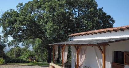 Il Poggetto di Barbara - Casa Bianca