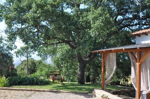 House, Garden View | Property grounds - Il Poggetto di Barbara - Casa Bianca (Scansano)