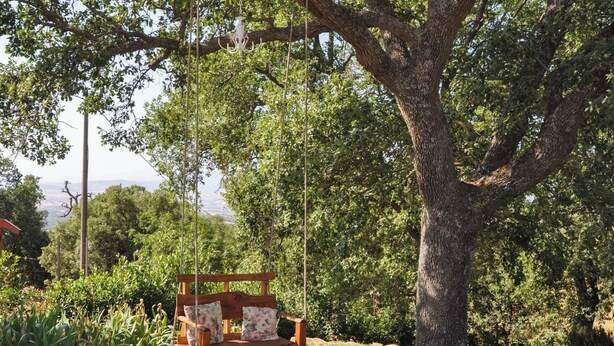 A wooden swing chair with floral cushions under a large tree. - Il Poggetto di Barbara - Casa Bianca (Scansano)