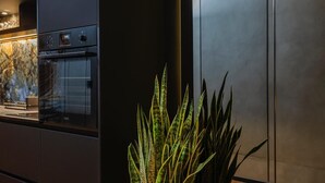 Een moderne keuken met een inbouwoven en een kamerplant van een slang.