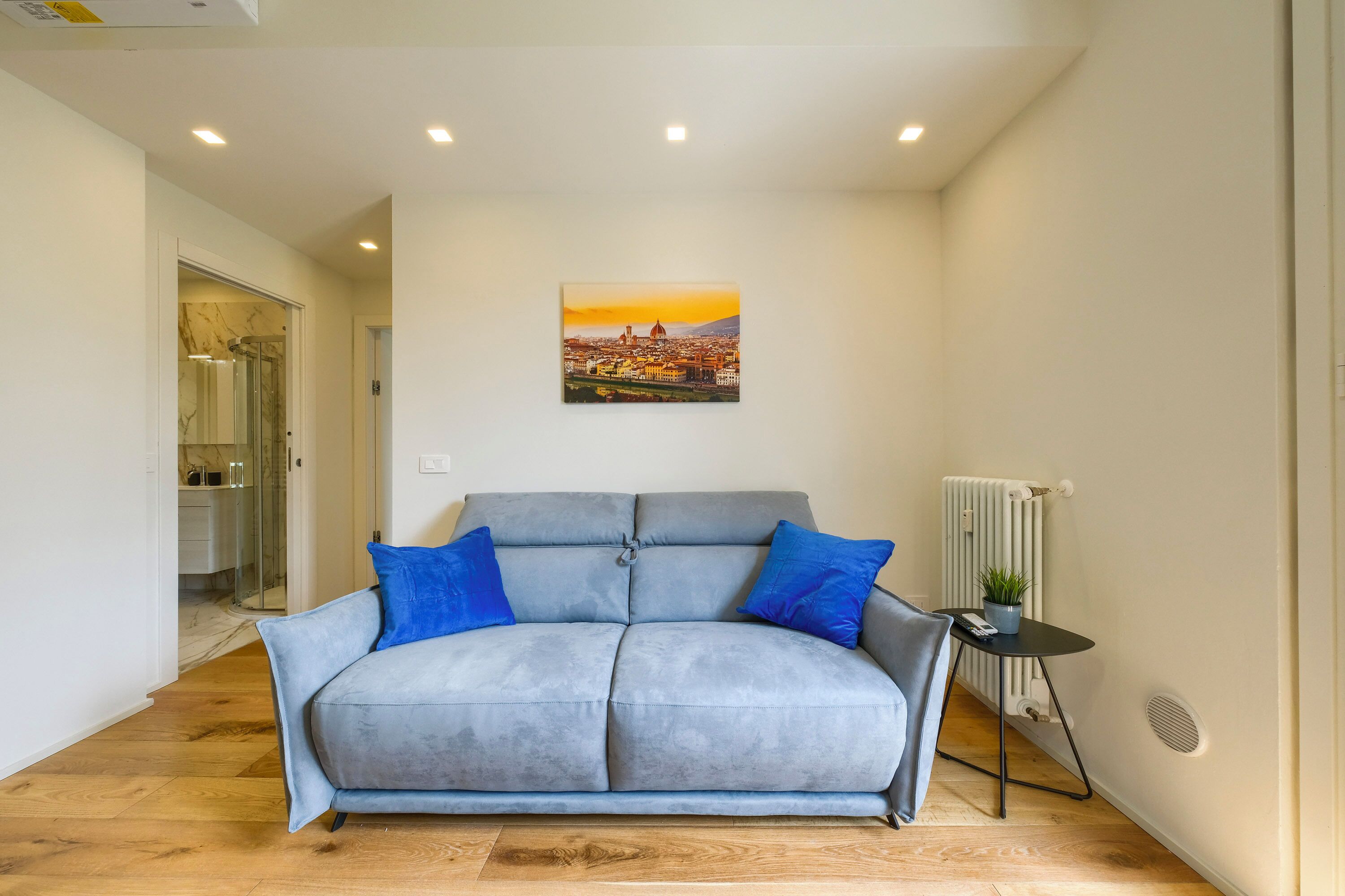 Un salon moderne avec un canapé gris, des coussins bleus, un tableau représentant un paysage urbain, une petite table avec une plante et un radiateur.