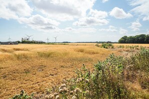 A rural landscape with wind turbines and a field of golden crops.