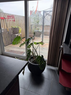 Une plante en pot posée sur un rebord de fenêtre, une clôture en bois et une vue sur un jardin où flotte un drapeau rouge.