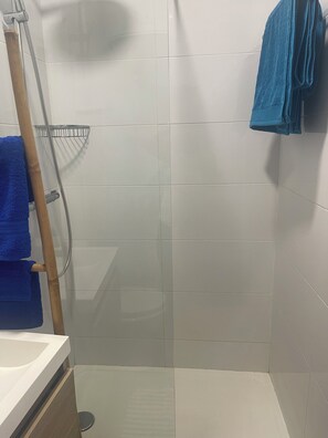 Sèche-cheveux, serviettes fournies, savon, papier toilette