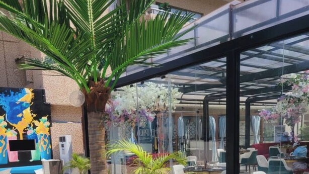 Un espacio de estar al aire libre cubierto, con plantas en macetas y un muro de cristal.