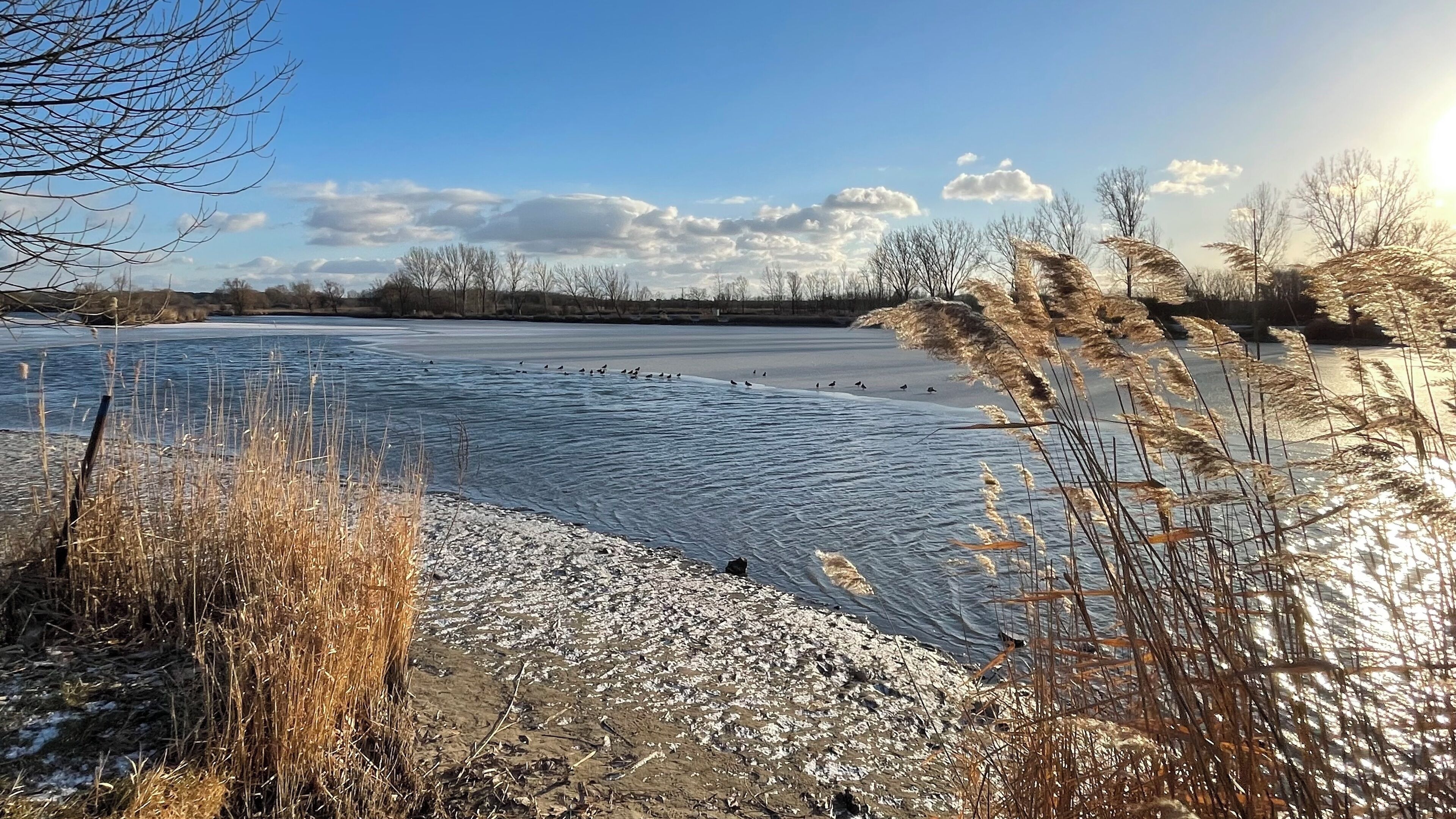 Chaises longues, serviettes de plage