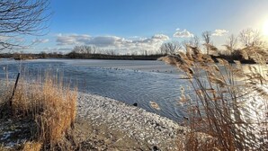 A frozen lake with reeds and trees in the foreground.