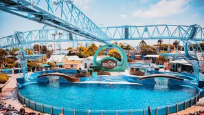 Pool - Charming 3BR Hillside Home w/ Private Pool in Gorgeous La Mesa Close to Downtown (La Mesa)