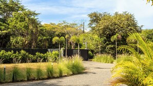 Een grindpad dat door een aangelegd gebied met verschillende planten en bomen loopt.