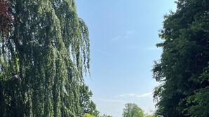 A lush garden with a variety of plants and flowers, a clear sky, and a well-maintained lawn. - Rural idyll on the edge of the village with sweeping views, not far from Kappeln (Stoltebüll)