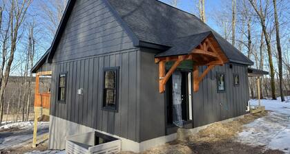 New Mountain Cabin, dark skies, and great views!