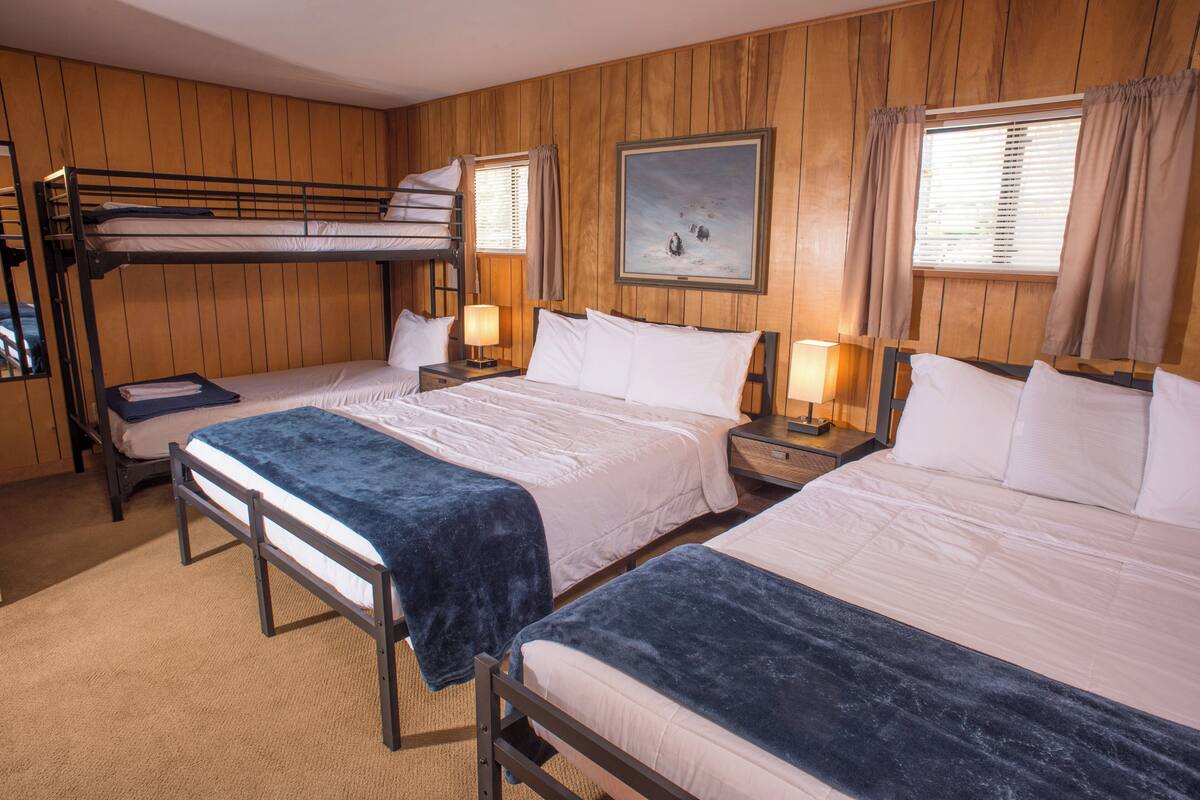 A room with bunk beds, two single beds, wooden paneling, a painting, and two bedside lamps.
