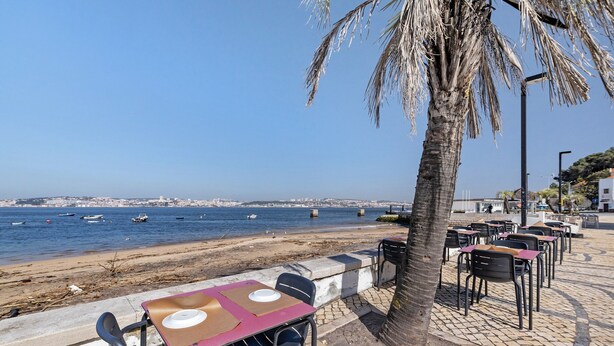 A seaside terrace with tables and chairs, a palm tree, and a view of the sea and distant cityscape. - Lisbon Nearby. Surrounded by Nature. Beaches Always Close. (Trafaria)