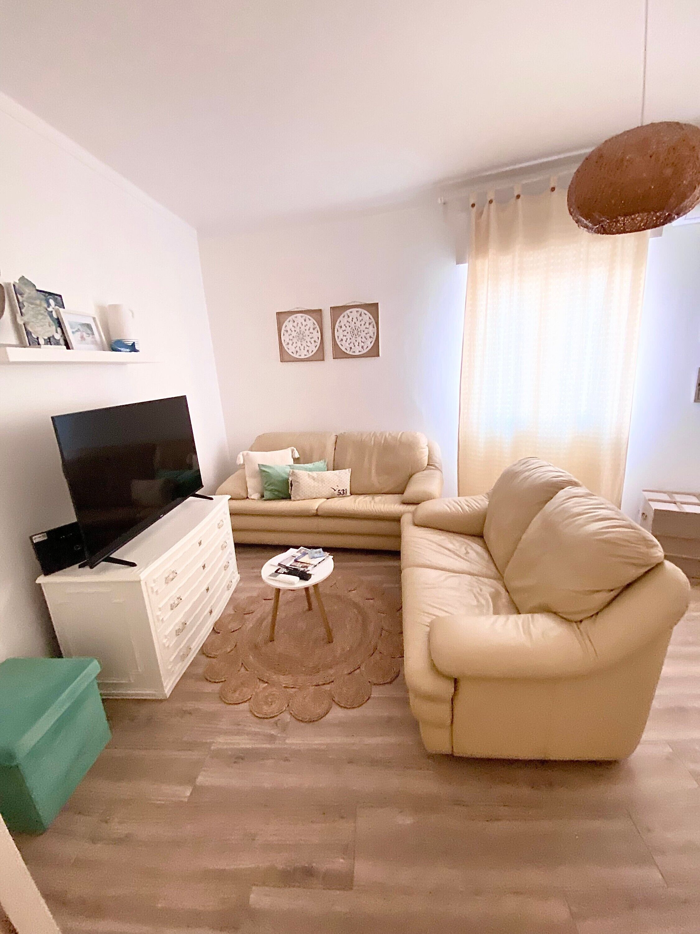 TV