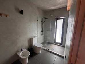 A bathroom with a shower, toilet, bidet, and a window.