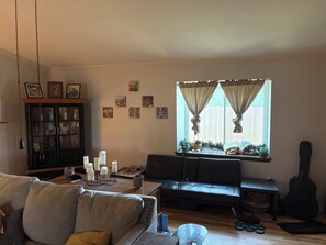 Una Smart TV, una chimenea, videojuegos, libros