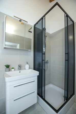 Shower, hair dryer, towels