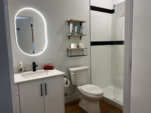 Regadera, secadora de cabello, toallas, shampoo