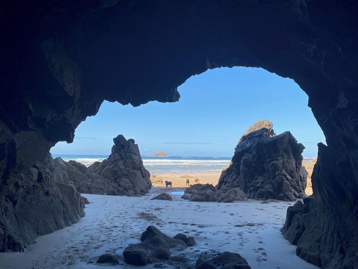 Bild für Gastgeberprofil