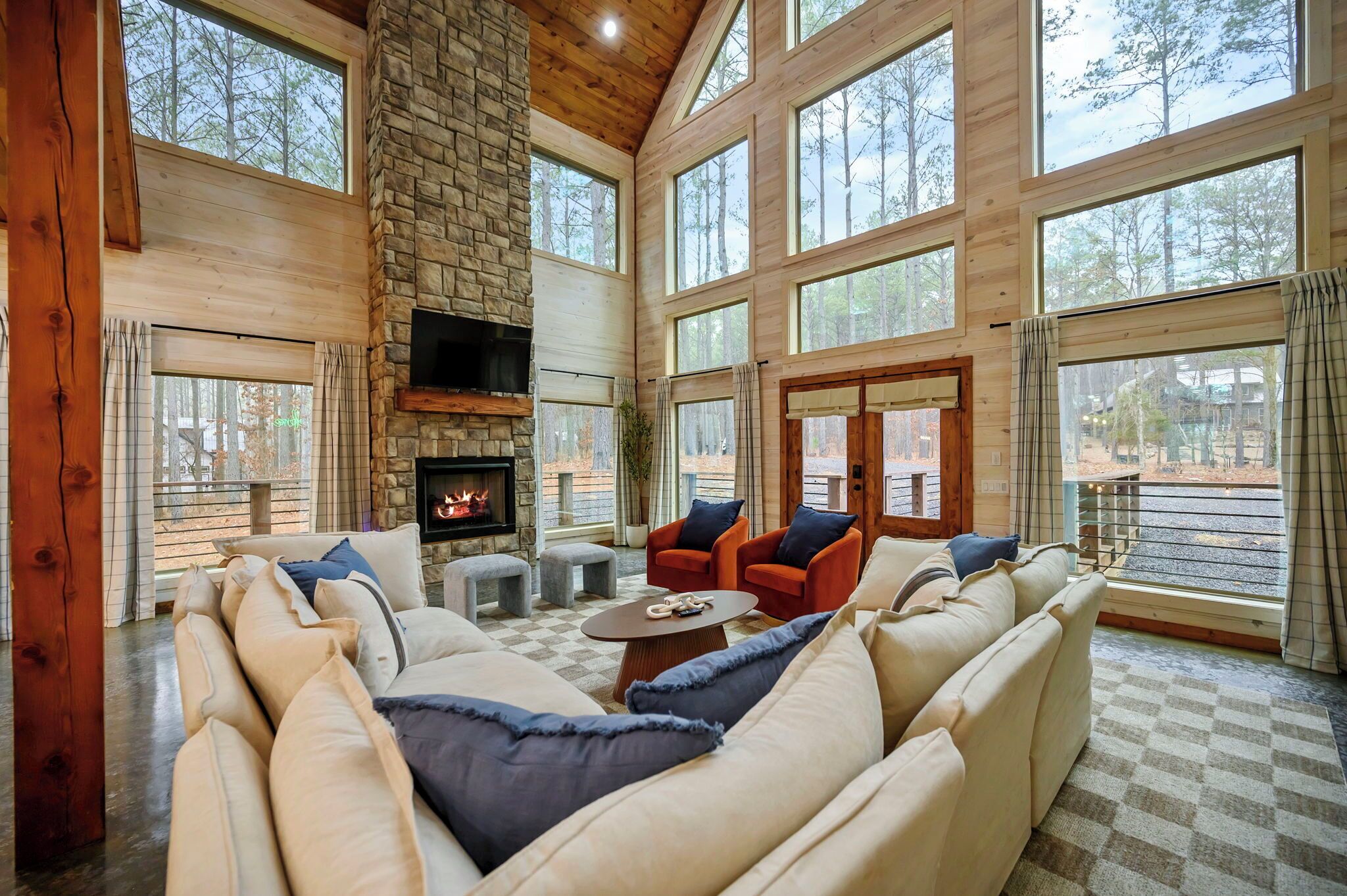 TV, fireplace, ping pong, books