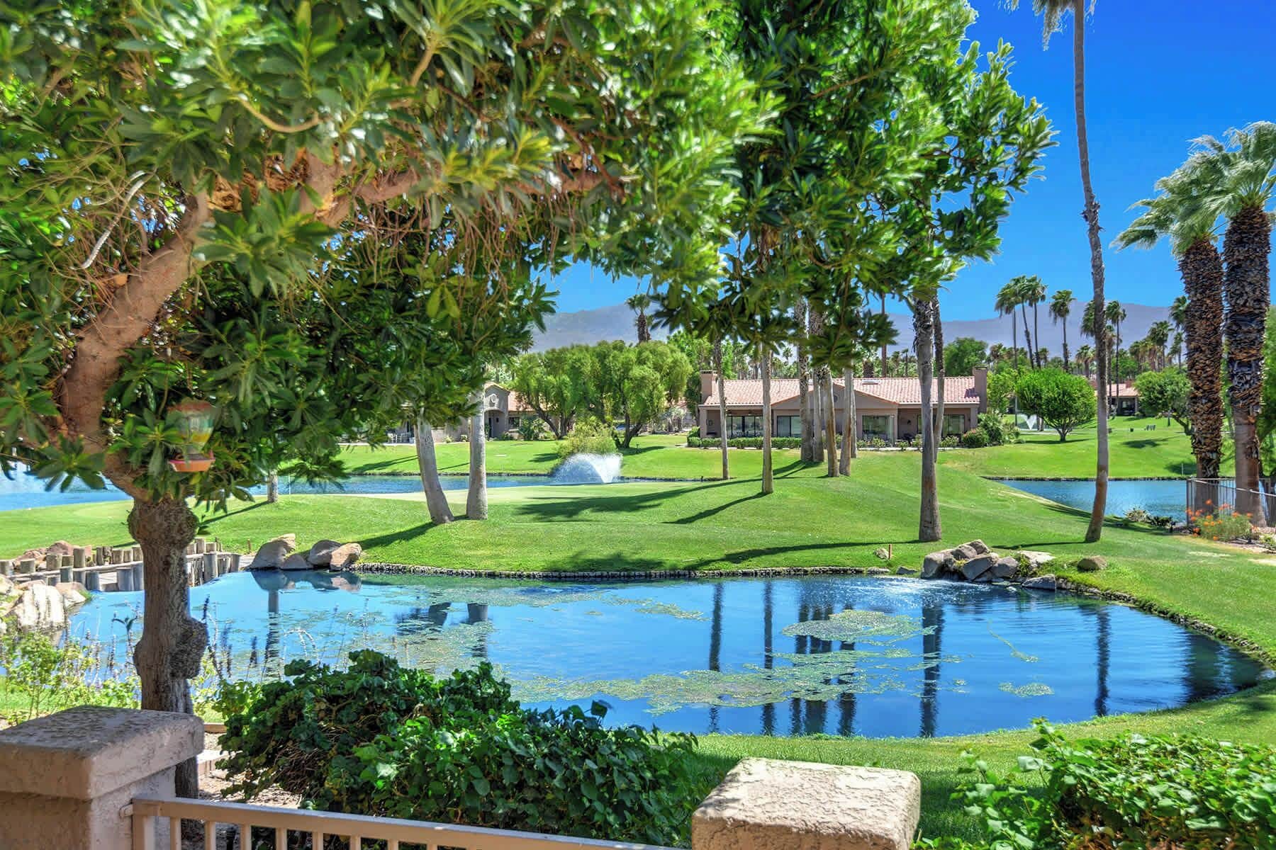 A landscaped area with a pond, palm trees, and a building with a red roof.