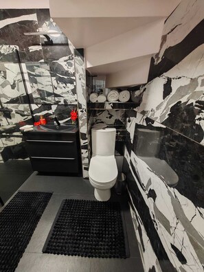 Chuveiro, secador de cabelo, toalhas de banho, sabonete